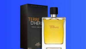 Colognes Similar To Terre d'Hermes Parfum [Top 8 Dupes]